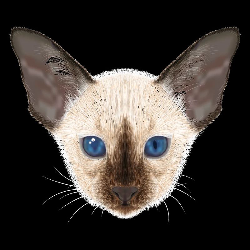 Chat siamois