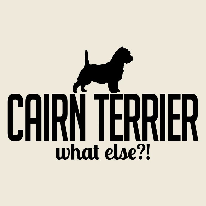CAIRN TERRIER whatelse