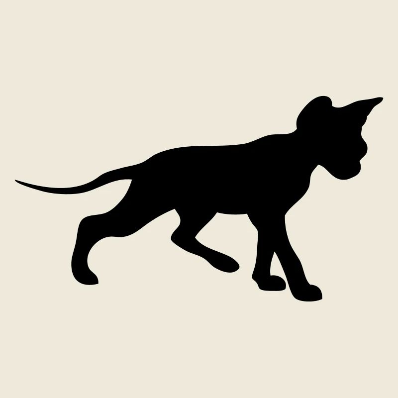 Sphynx - free color selection