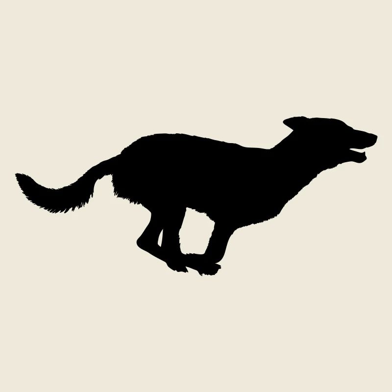 Hund Shilouette run