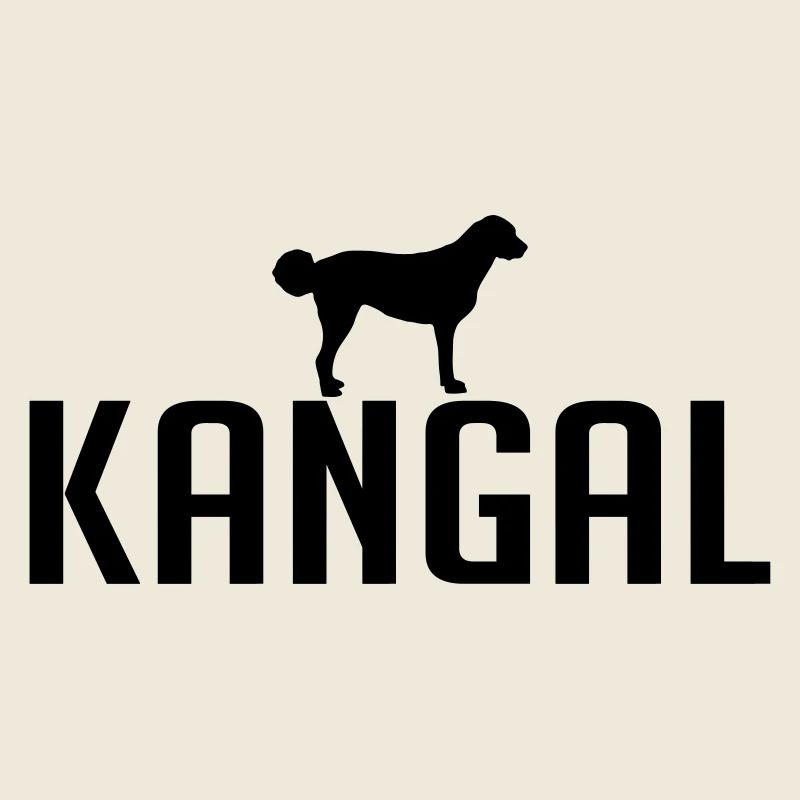 race KANGAL