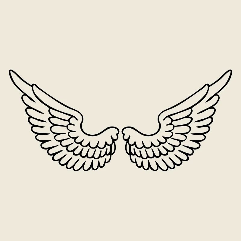 aile d'ange ailes d'oiseau , pilote d'avion