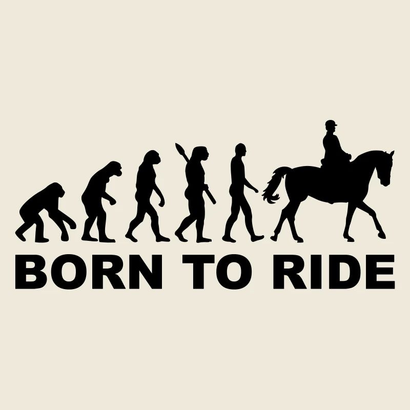 Evolution Reiten