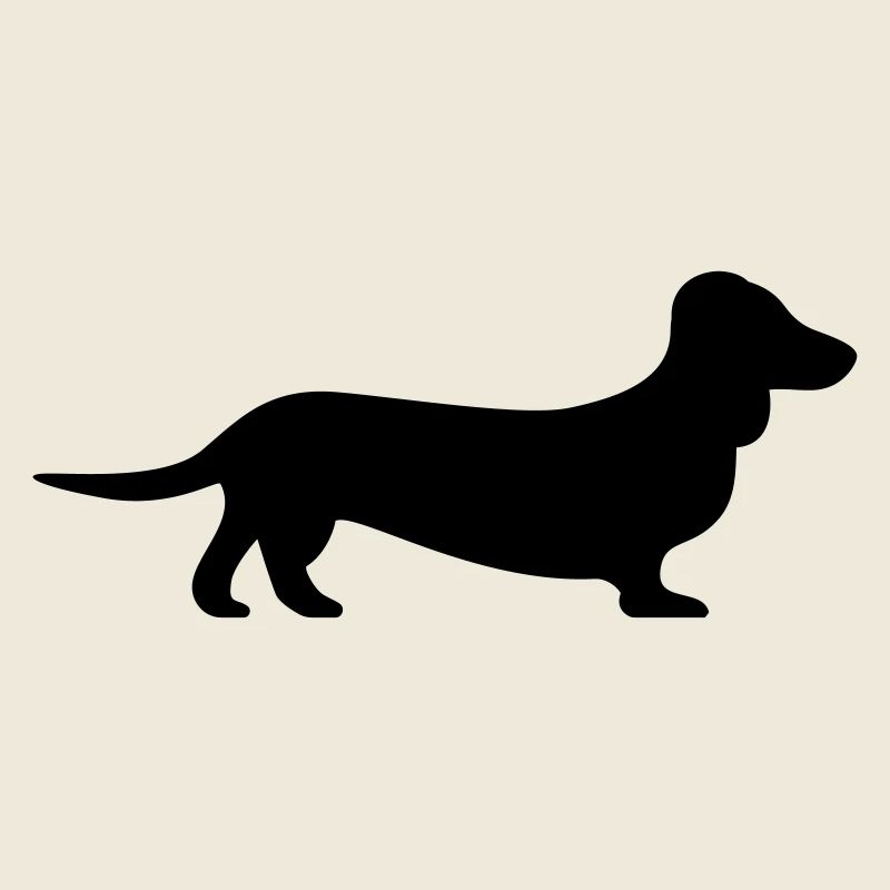 Dog: Dachshund