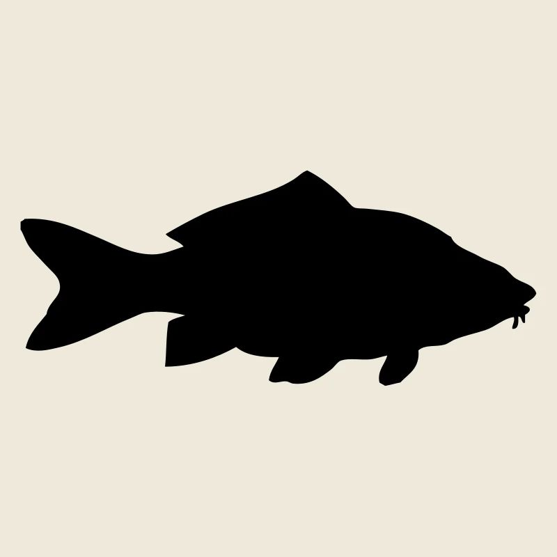 Karpfen - Fisch - Fish