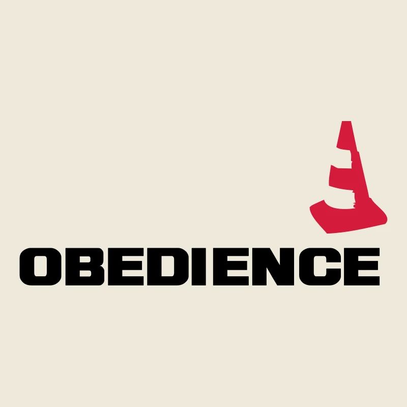 Obedience mit Pylone