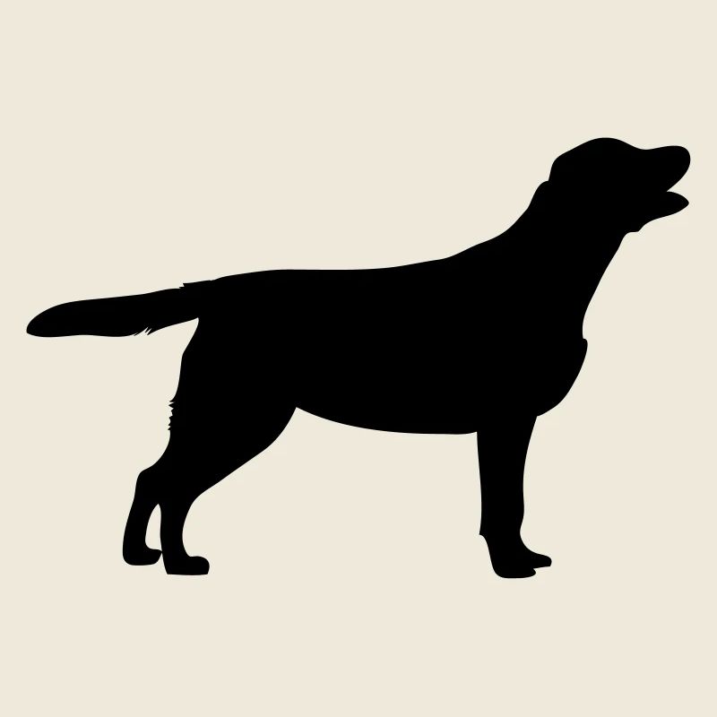 Labrador