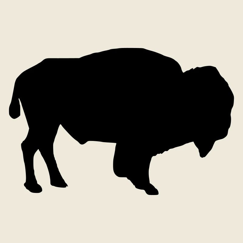 Bison