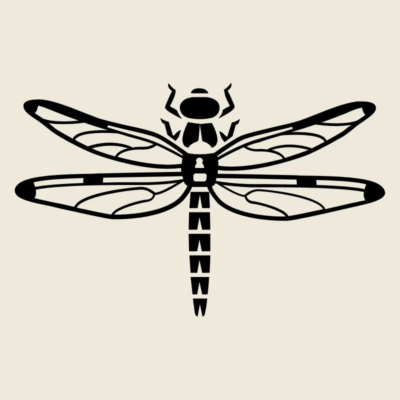 Dragonfly - insectes