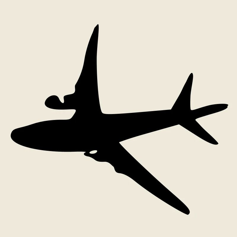 Avion -6