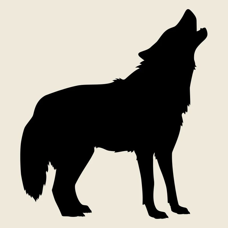 wolf animal
