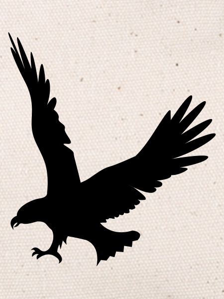 aigle-attaque