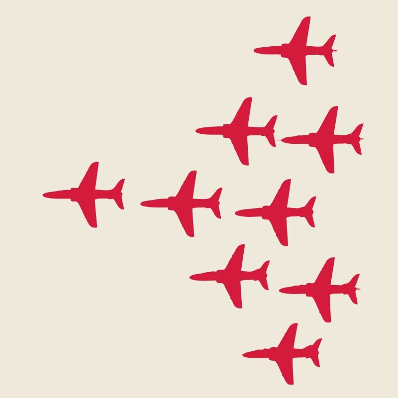 Red Arrows Vulcan 2007 Gründung