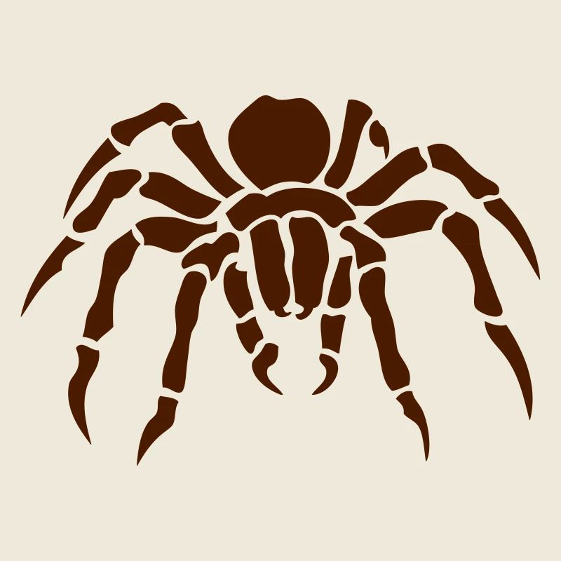 araignee spider spinne ragno arana 2011