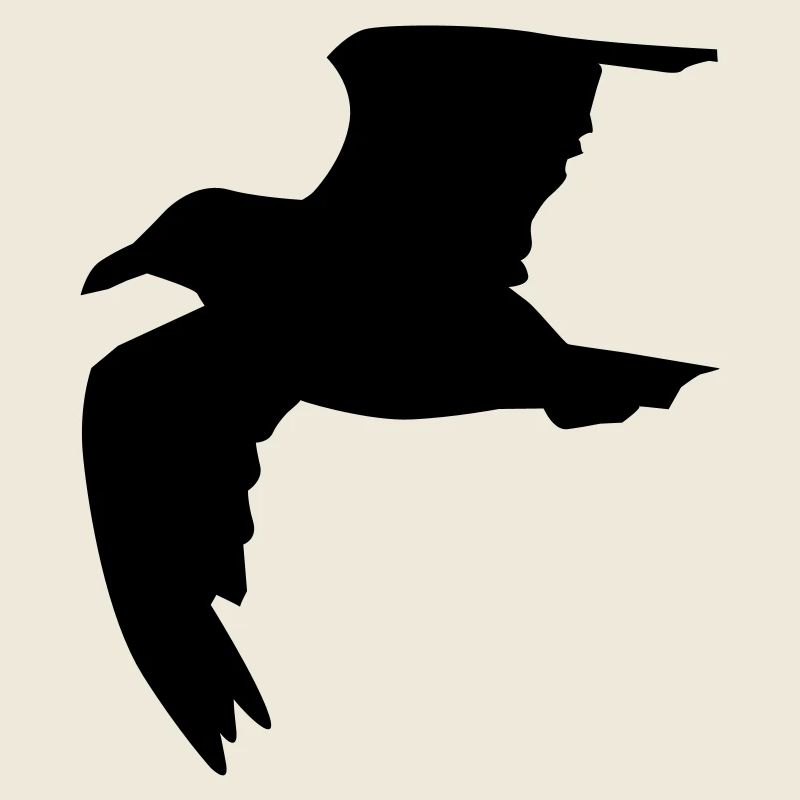Möwe
