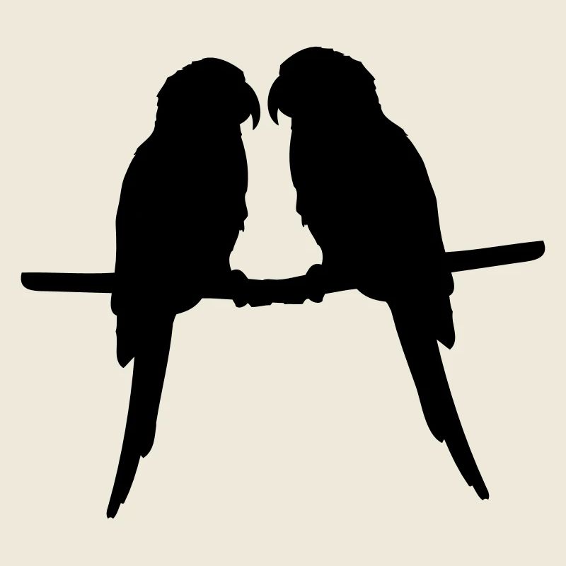 Perroquets quelques oiseaux