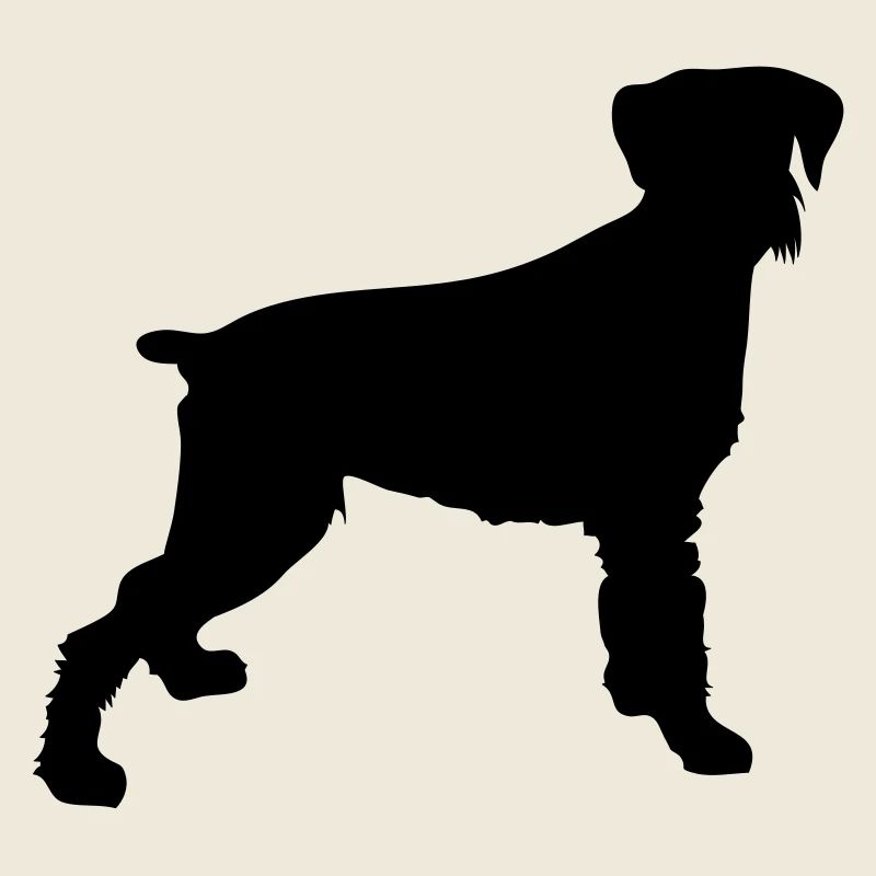 chien dog