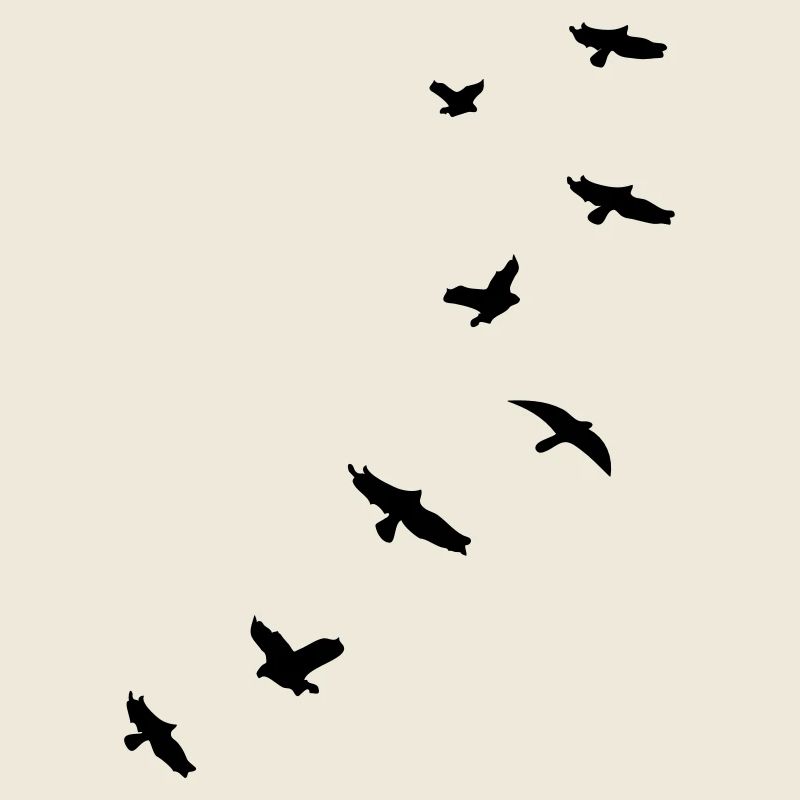 flying_birds_mapies
