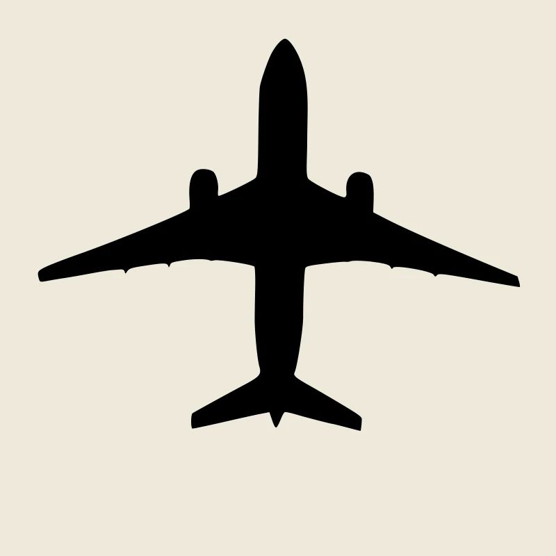 Flugzeug