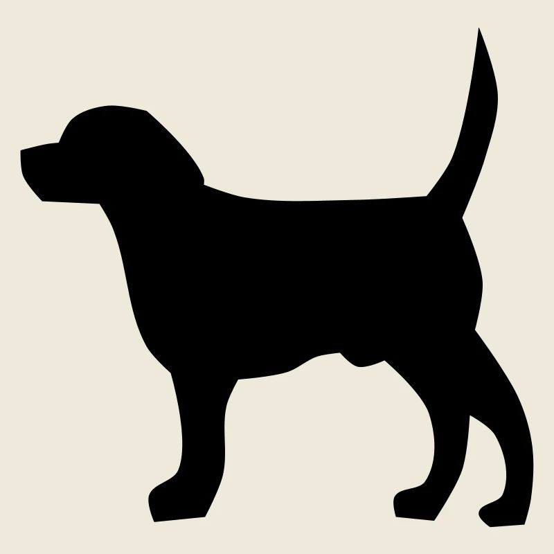 Cane