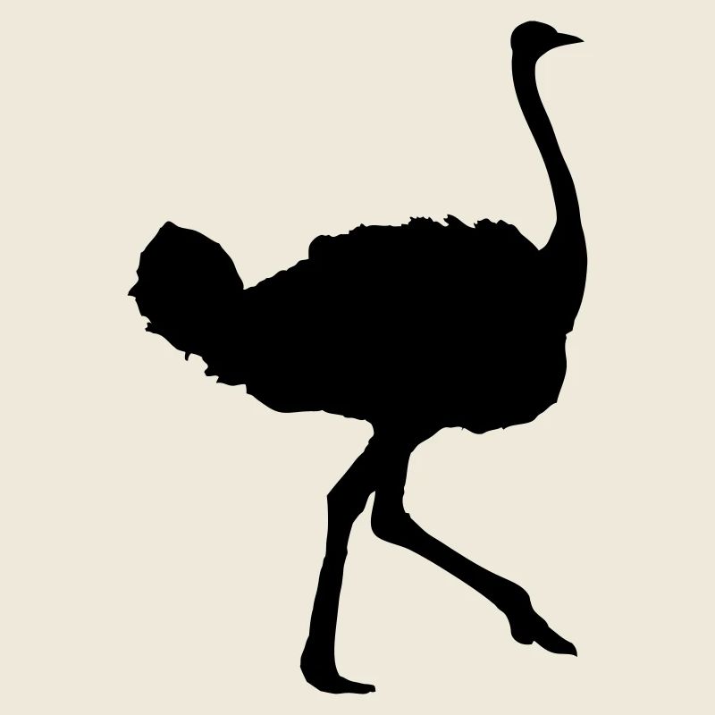 ostrich animal