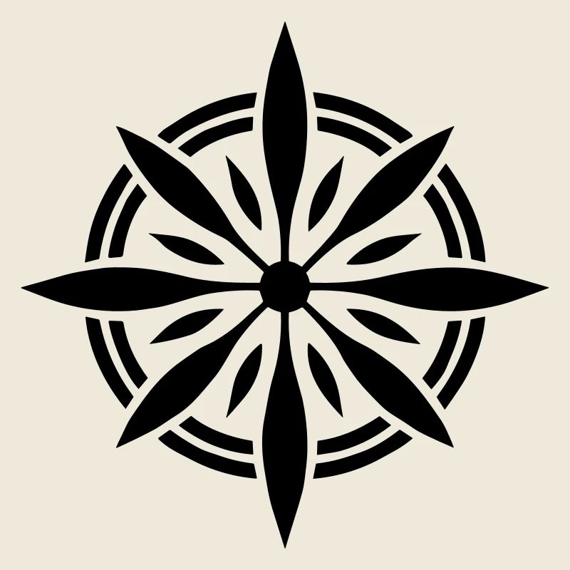 Präzisions-Navigator: Kompass