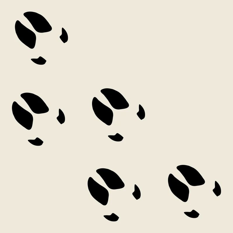 empreintes traces