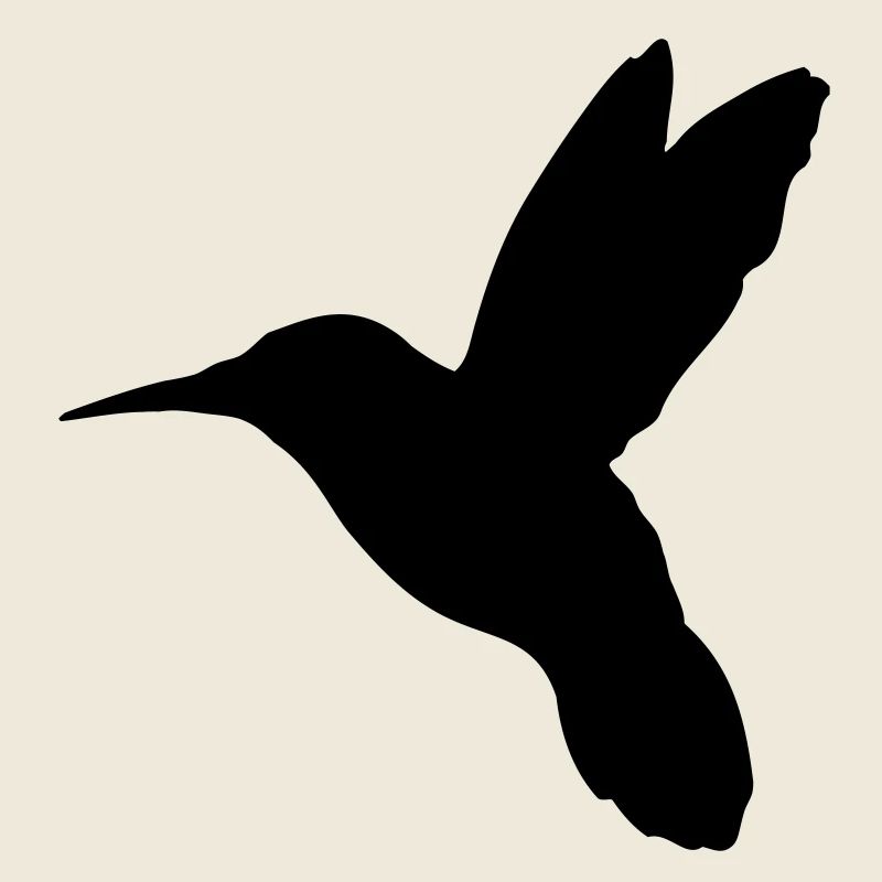 kolibri_bird_r1