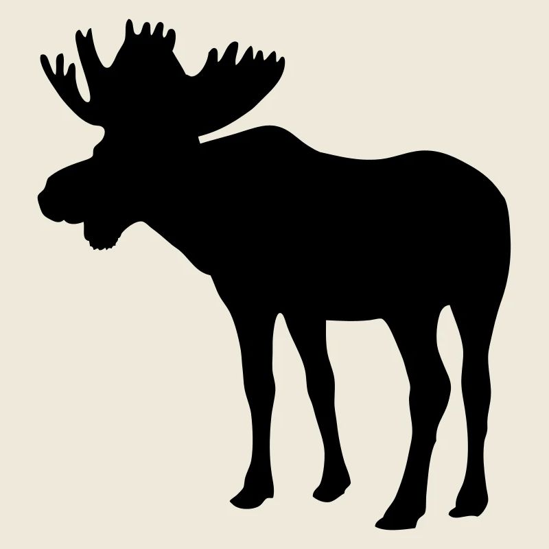 Elch - Moose - Elk