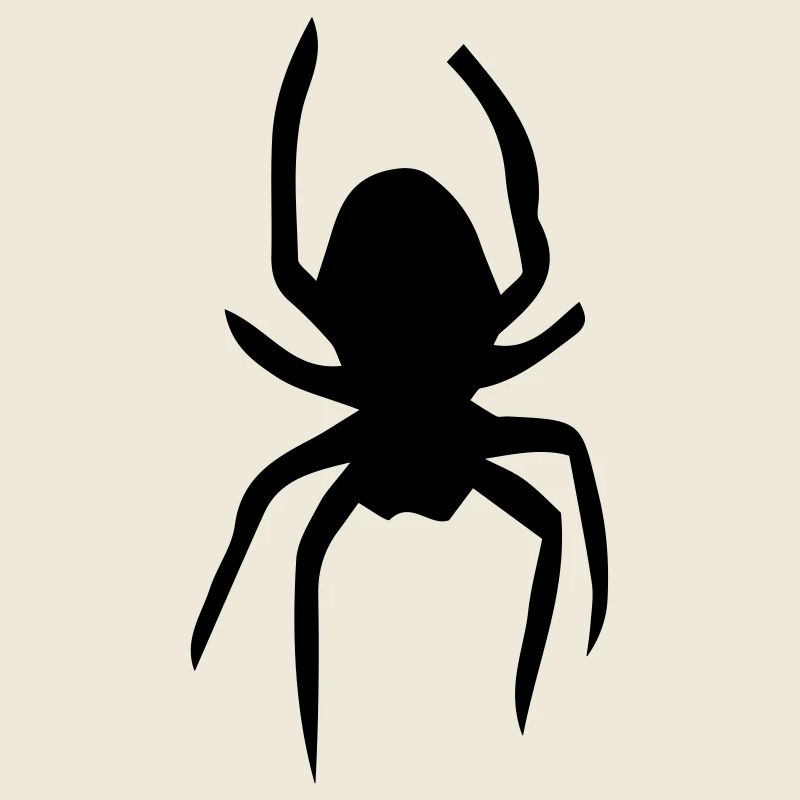 Spinne