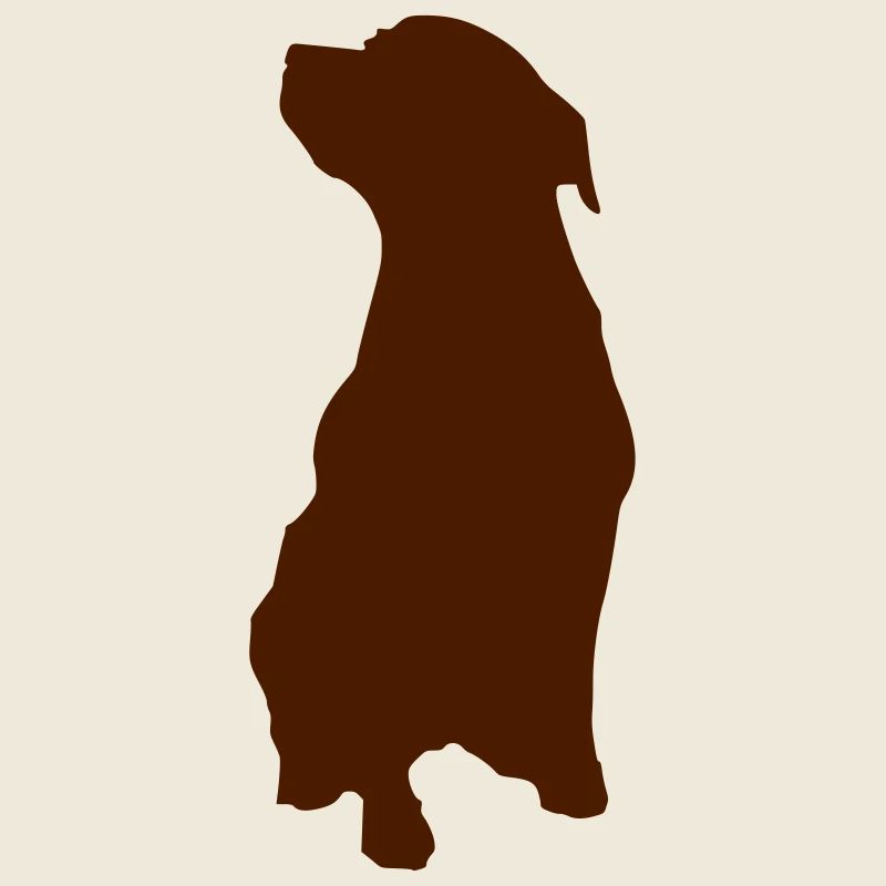 Chien