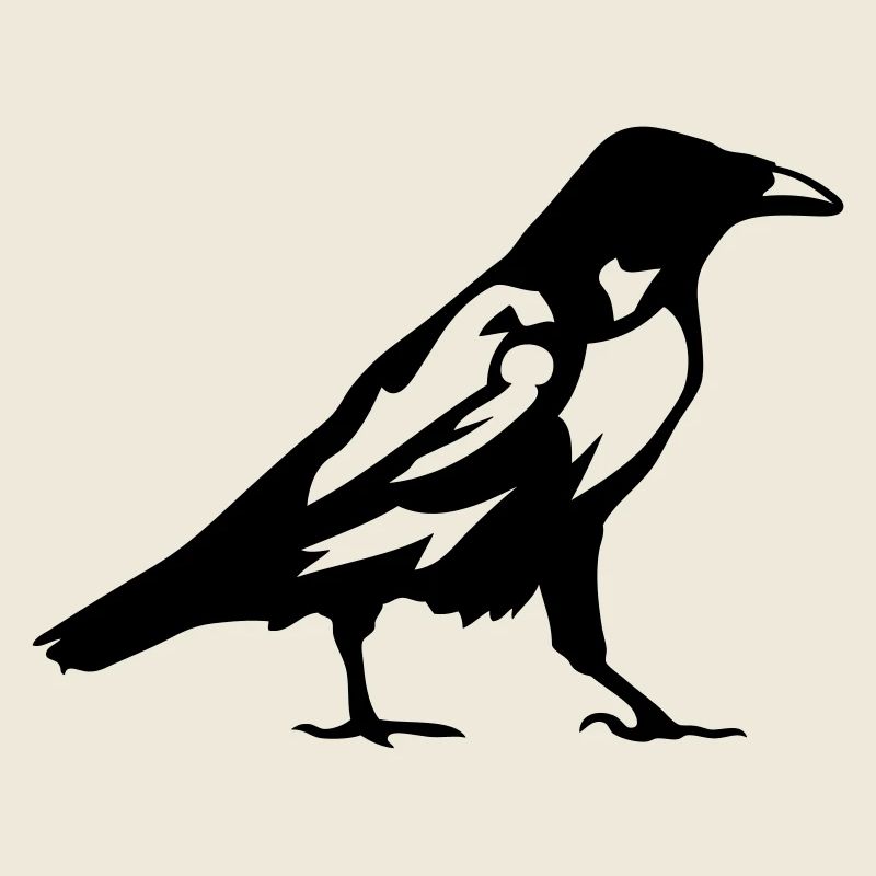 Krähen Rabenvogel 1