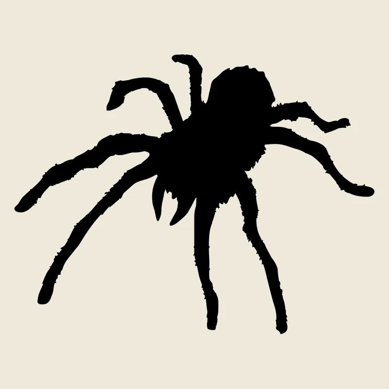 Tarantula Spider