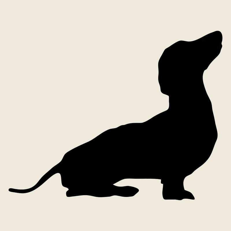 Hund