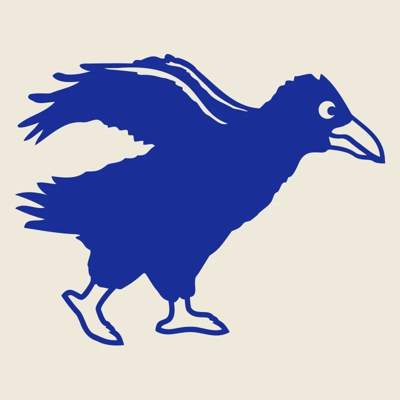 Raven bird walks crow fast running running funny