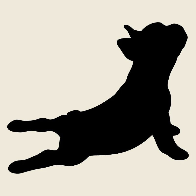 Bouledogue français - libre choix de la couleur