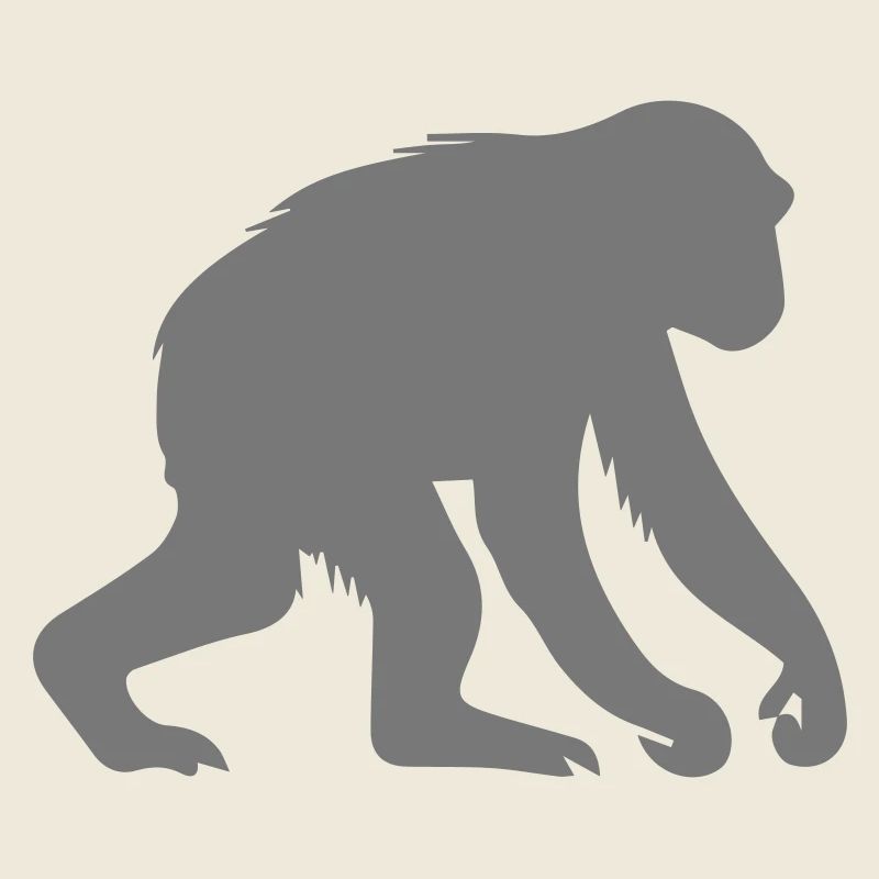 monkey