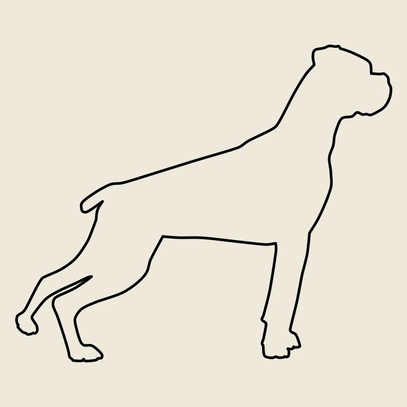 boxer konturen 1