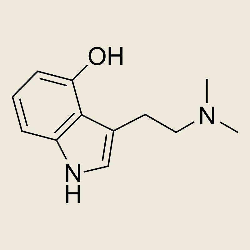 Magic Mushroom Formeln