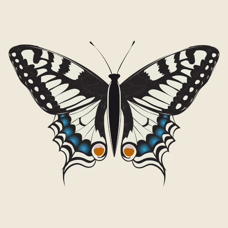 hand drawn swallowtail butterfly