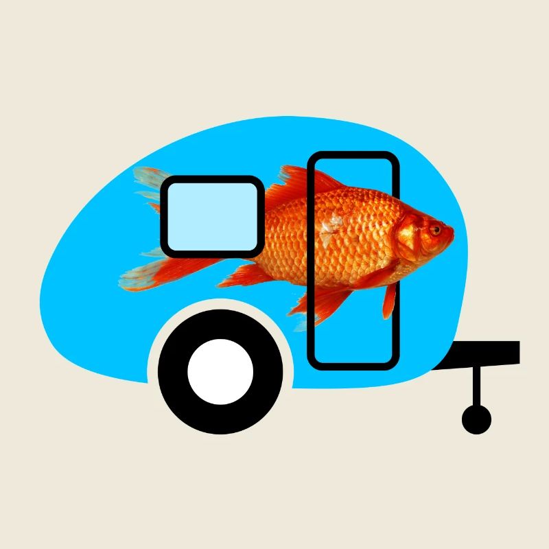Caravane Poisson rouge Camping Caravane Vintage Fish