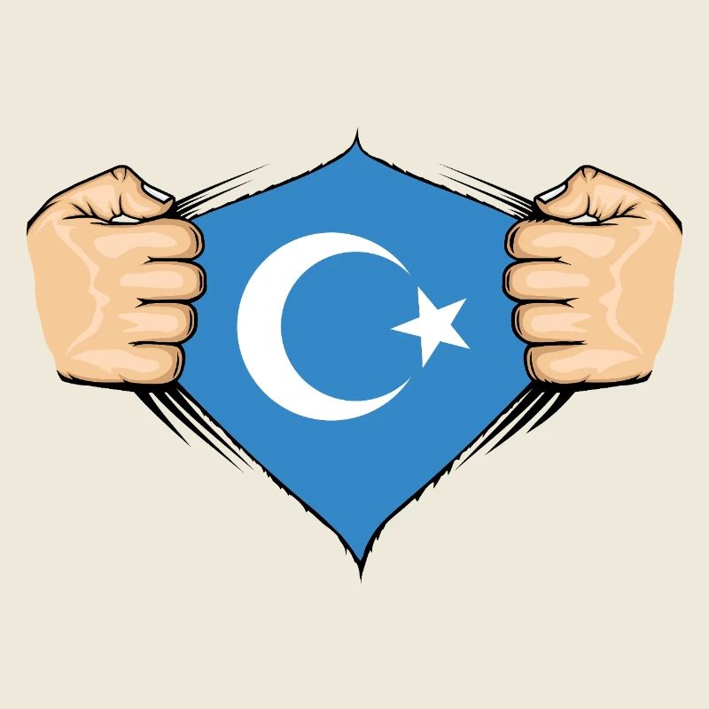 Conception du drapeau ouïghour