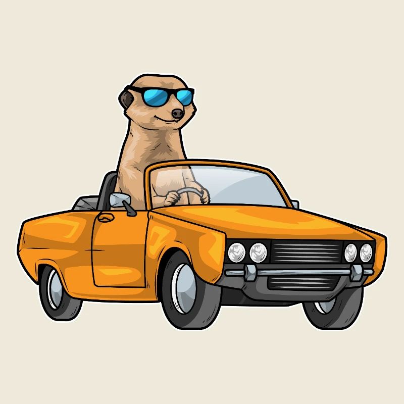 Erdmännchen Auto