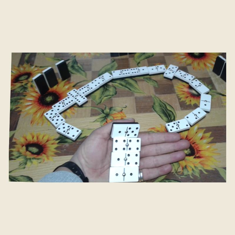 Domino
