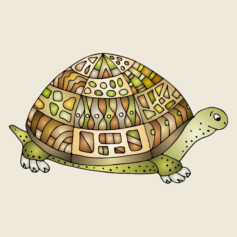 Tortoise