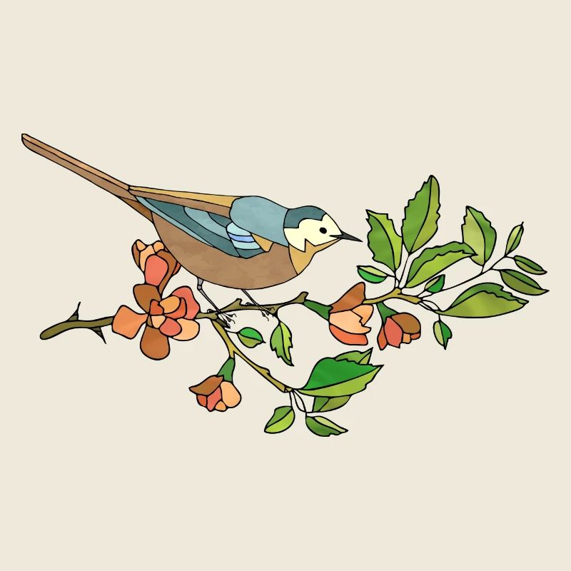 Oiseau coloré