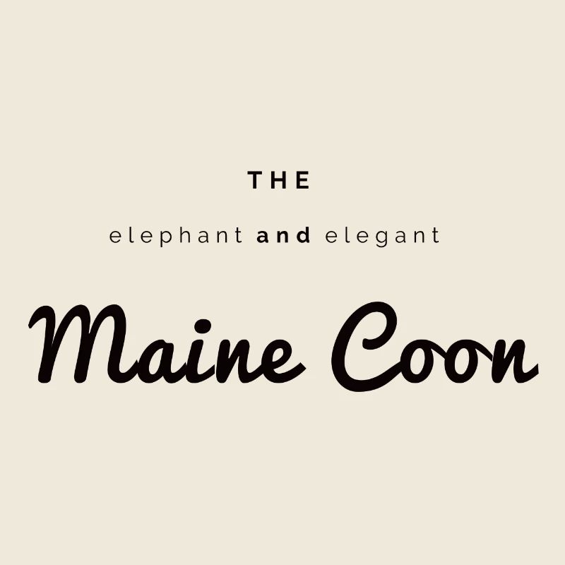 Der Elefant und elegante Main Coon