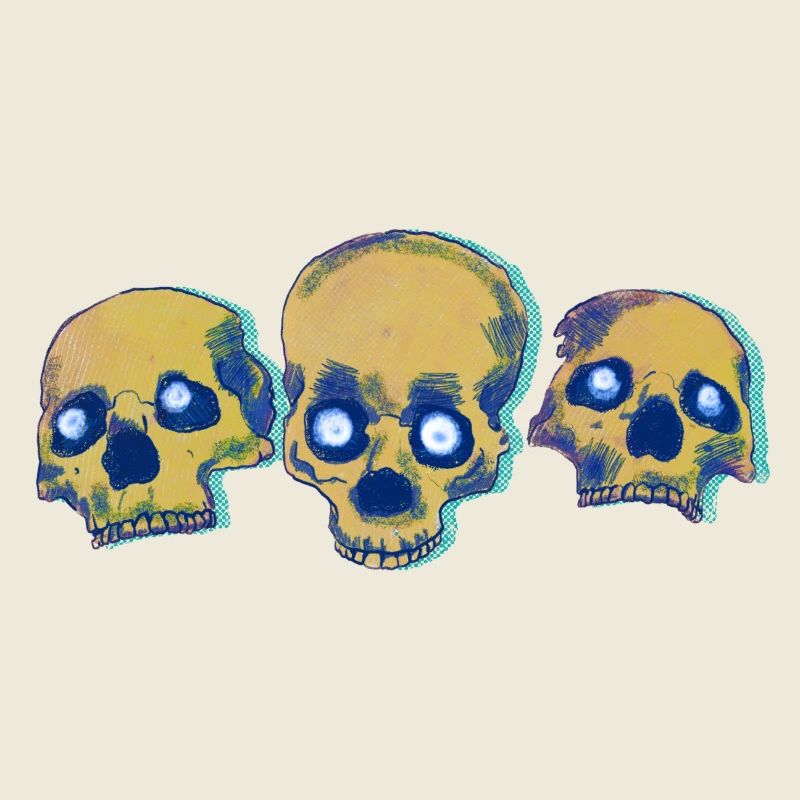 Trois crânes