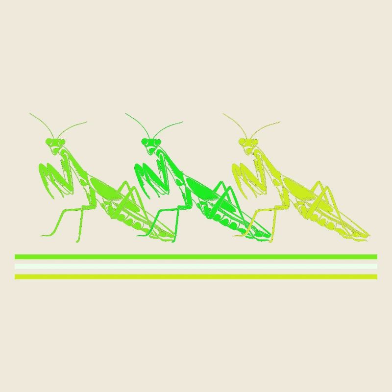 Mantis Gottesanbeter Gottesanbeterin