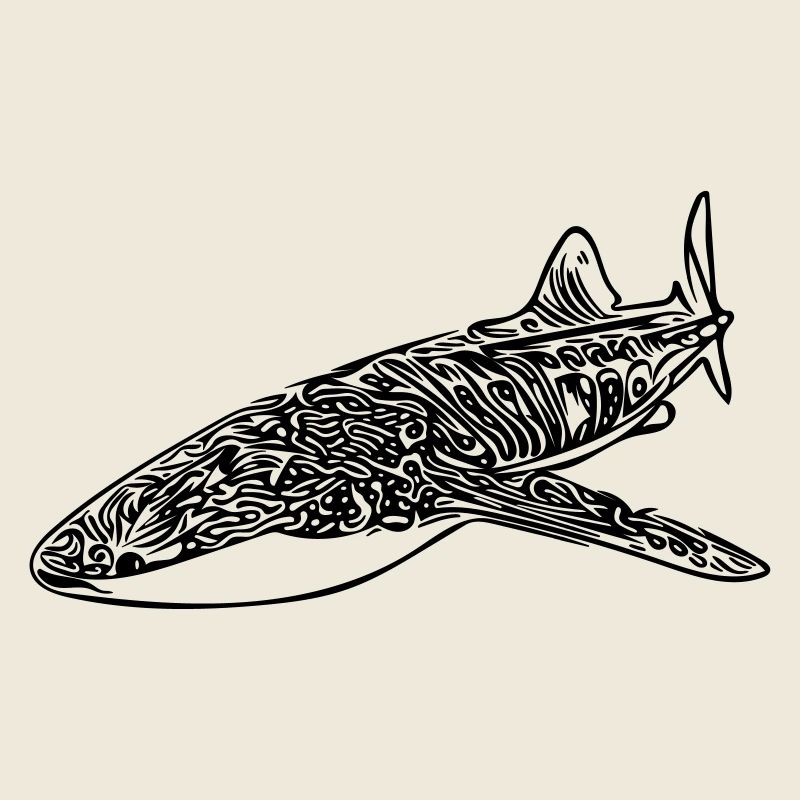 Whale Shark